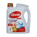 ضدیخ و ضدجوش کاسپین مدل کولانت 50/50 وزن 4 کیلوگرم - خودرو و موتورسیکلت