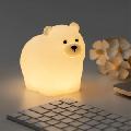 چراغ خواب فانتزی رومیزی شارژی طرح خرس Bear - 