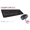ست موس و کیبورد بی سیم ارگنومیک چری DW 5100 - 